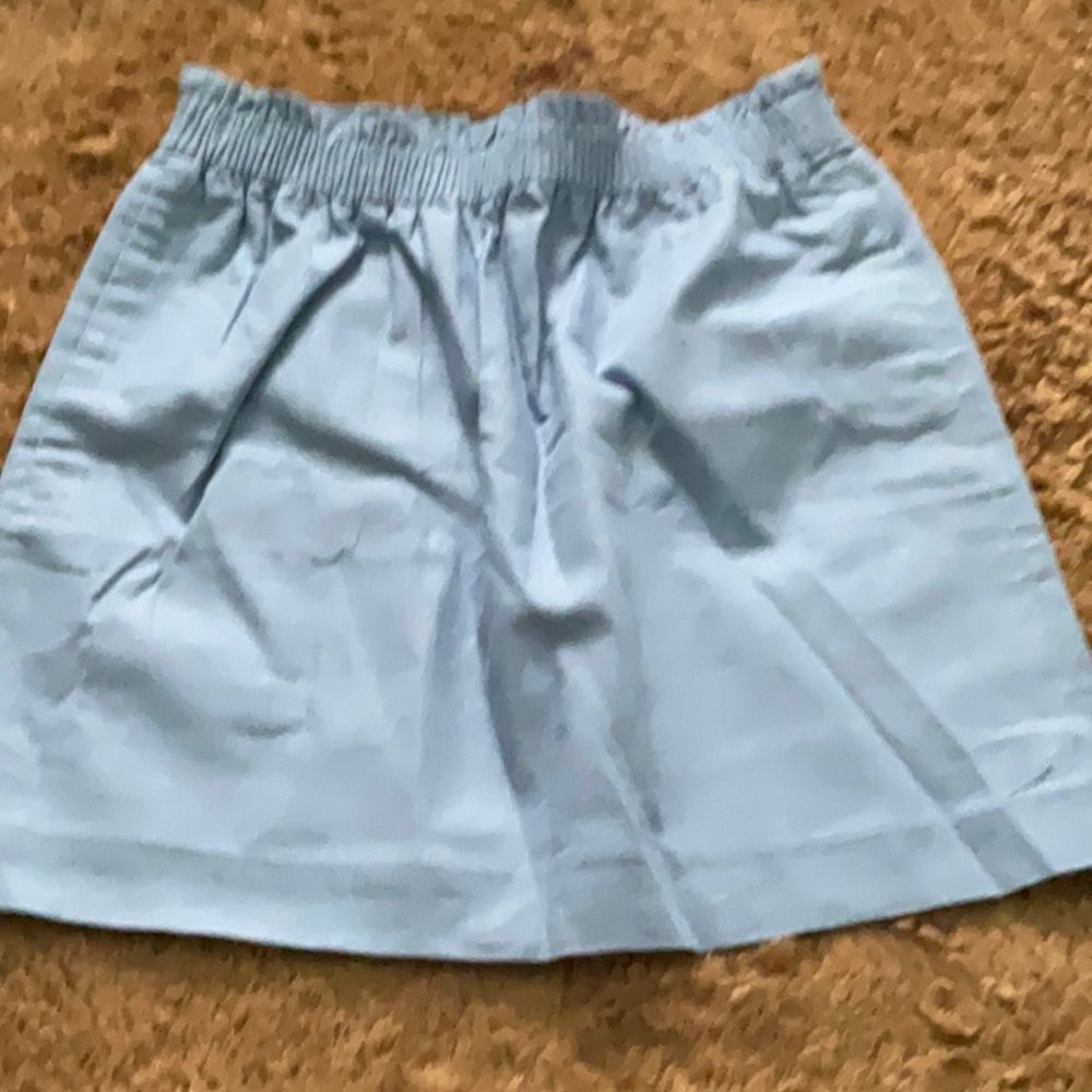 J. Crew Factory Blue Skirt